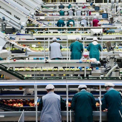 arno-senoner-oLS6IxceVNs-unsplash