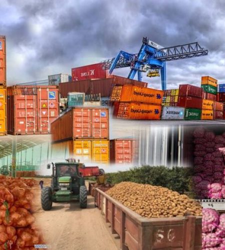 image_750x_645c97cd9b77f