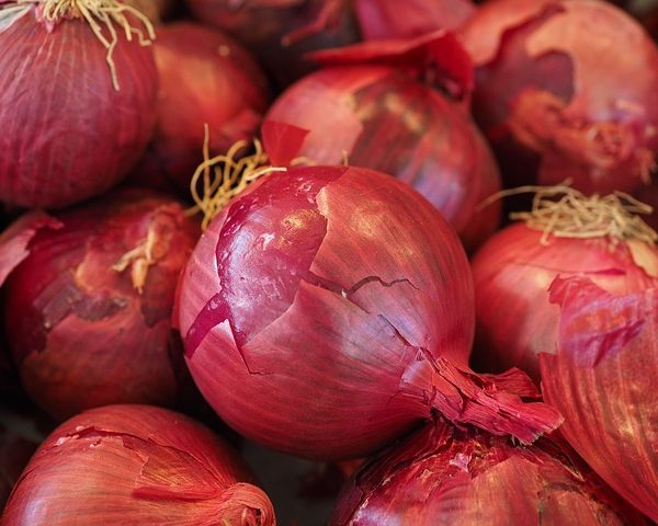 red-vegetable-onions-499066_640
