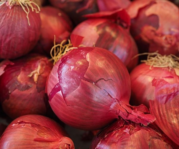 red-vegetable-onions-499066_640